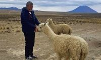 Андрей Масалович 2018 Перу