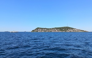 Андрей Масалович