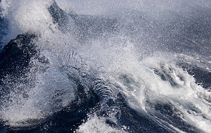 Андрей Масалович Пролив Дрейка - 2024 на Sea Spirit