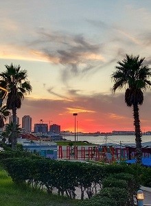 Октябрь Алжир