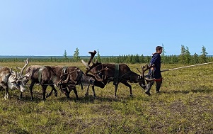 Андрей Масалович