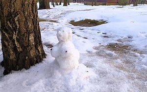 Андрей Масалович