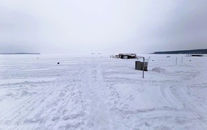 Андрей Масалович