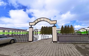 Андрей Масалович