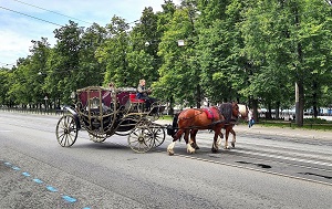 Андрей Масалович