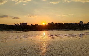 Андрей Масалович