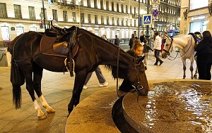 Андрей Масалович Санкт-Петербург сентябрь 2025