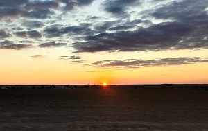 Андрей Масалович