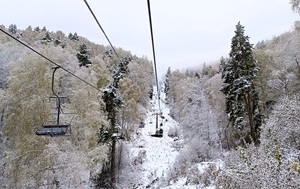 Андрей Масалович