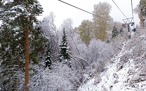 Андрей Масалович