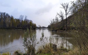 Андрей Масалович