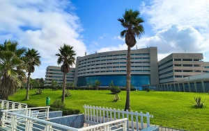 Андрей Масалович