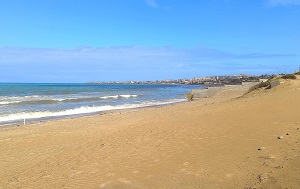 Андрей Масалович