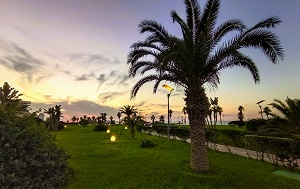 Андрей Масалович