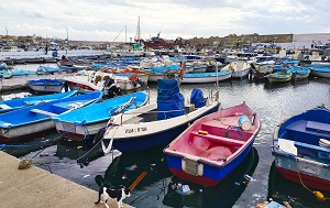 Андрей Масалович