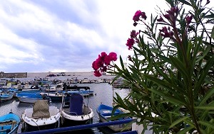 Андрей Масалович