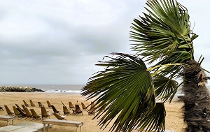 Андрей Масалович