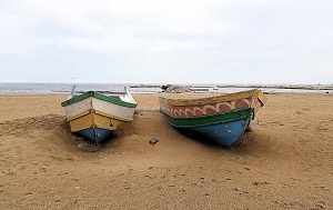 Андрей Масалович