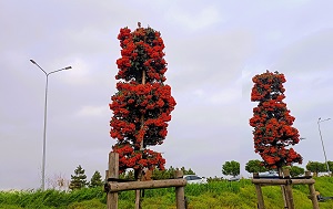 Андрей Масалович