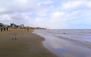 Андрей Масалович