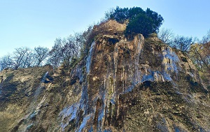 Андрей Масалович