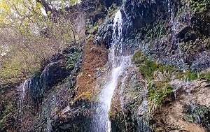 Андрей Масалович