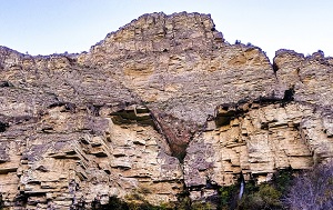 Андрей Масалович