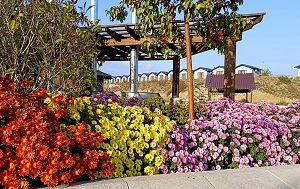 Андрей Масалович