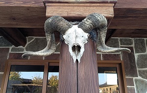 Андрей Масалович