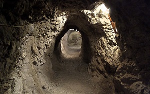 Андрей Масалович