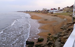 Андрей Масалович