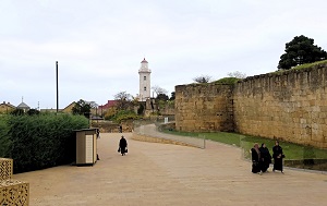 Андрей Масалович