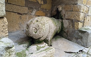 Андрей Масалович