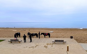 Андрей Масалович