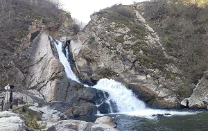 Андрей Масалович