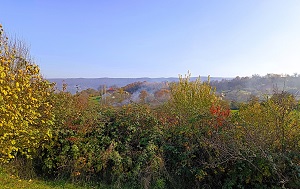 Андрей Масалович