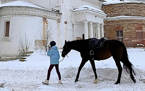 Андрей Масалович