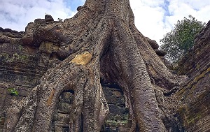 Андрей Масалович