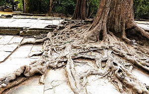 Андрей Масалович