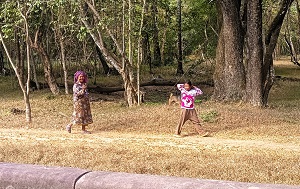 Андрей Масалович