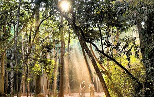 Андрей Масалович