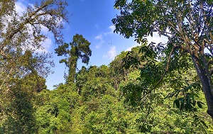 Андрей Масалович