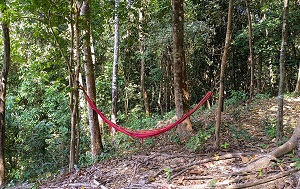 Андрей Масалович