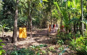 Андрей Масалович