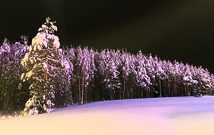 Андрей Масалович