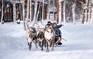 Андрей Масалович