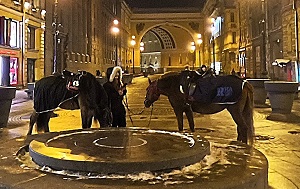 Андрей Масалович