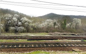 Андрей Масалович