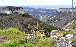 Андрей Масалович