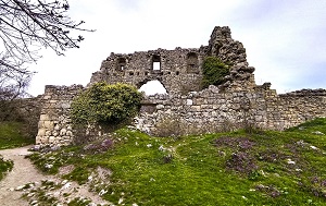 Андрей Масалович